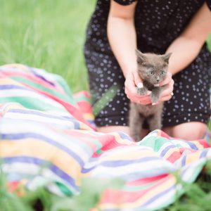 Sicily volunteering for KC Pet Project