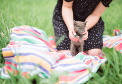 Sicily volunteering for KC Pet Project