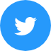 Twitter-Color-Icon